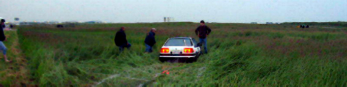 Such a bad photograph of an interesting moment. swamp-buggy