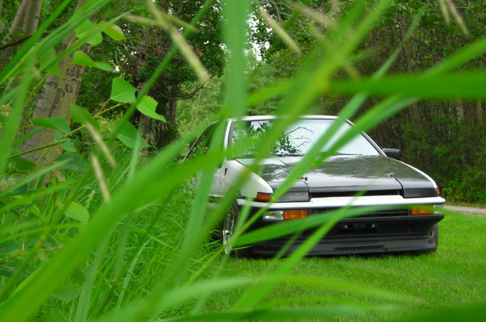 tropical-ae86
