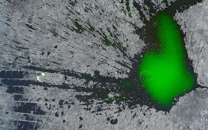 puddle